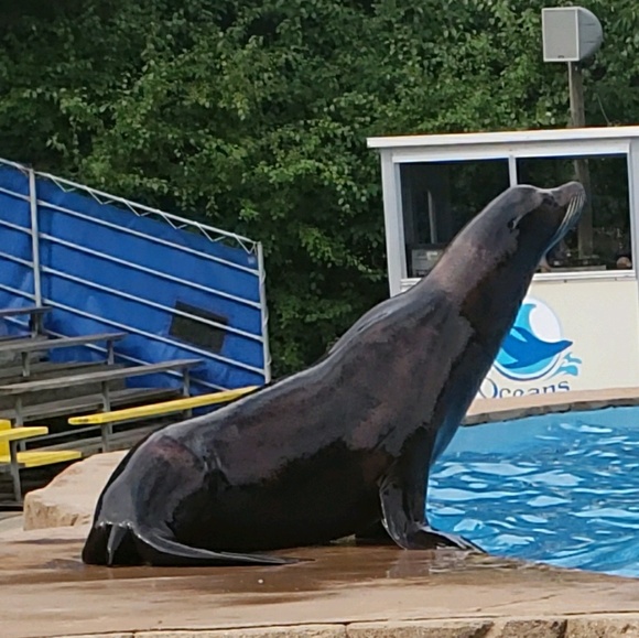 saveouroceans9